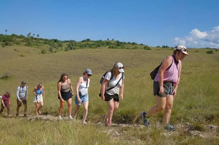 Komodo Tour 3 Days 2 Nights by Standard Boat